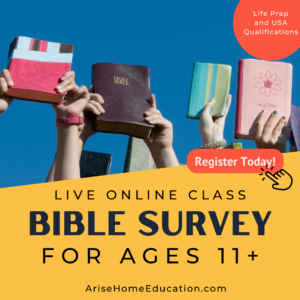 image of Bible Survey course at AriseHomeEducation.com for students ages 11+