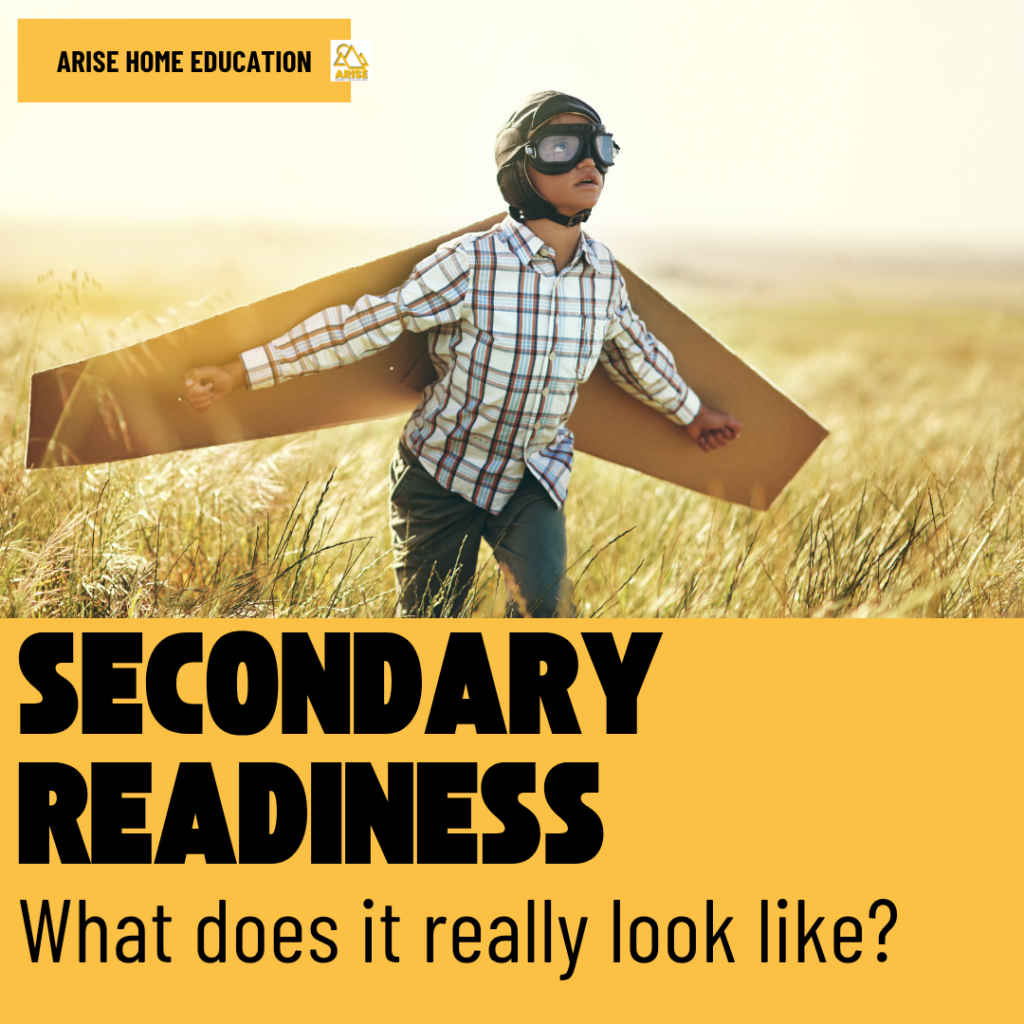 image of boy with flight wings and goggles with text overlay. What does secondary readiness really look like in maths and english at AriseHomeEducation.com