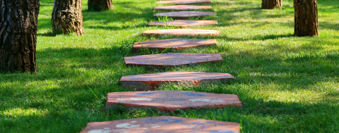 image of tree lined pathway US HS Diploma for UK Teens at Arise Home Education